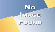 <strong>La umbra Carpaților. „Fenomenul Călin Georgescu”. Comentarii asupra rezultatelor unui sondaj CURS</strong>